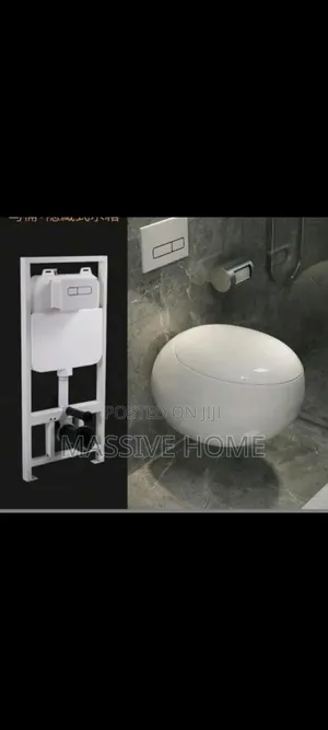 White Concealed Wc Egg Shape