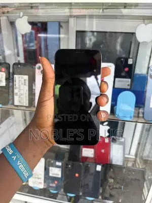 Apple iPhone 12 Pro Max 256 GB Blue
