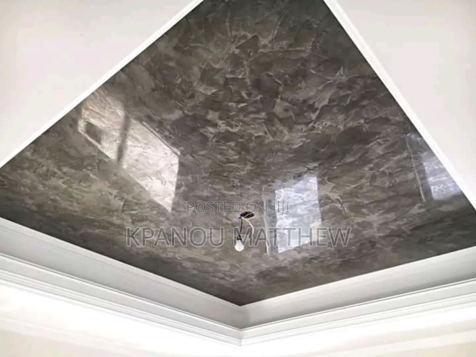 A Professional Painter