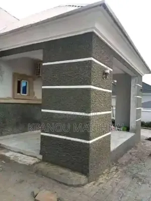 A Professional Painter