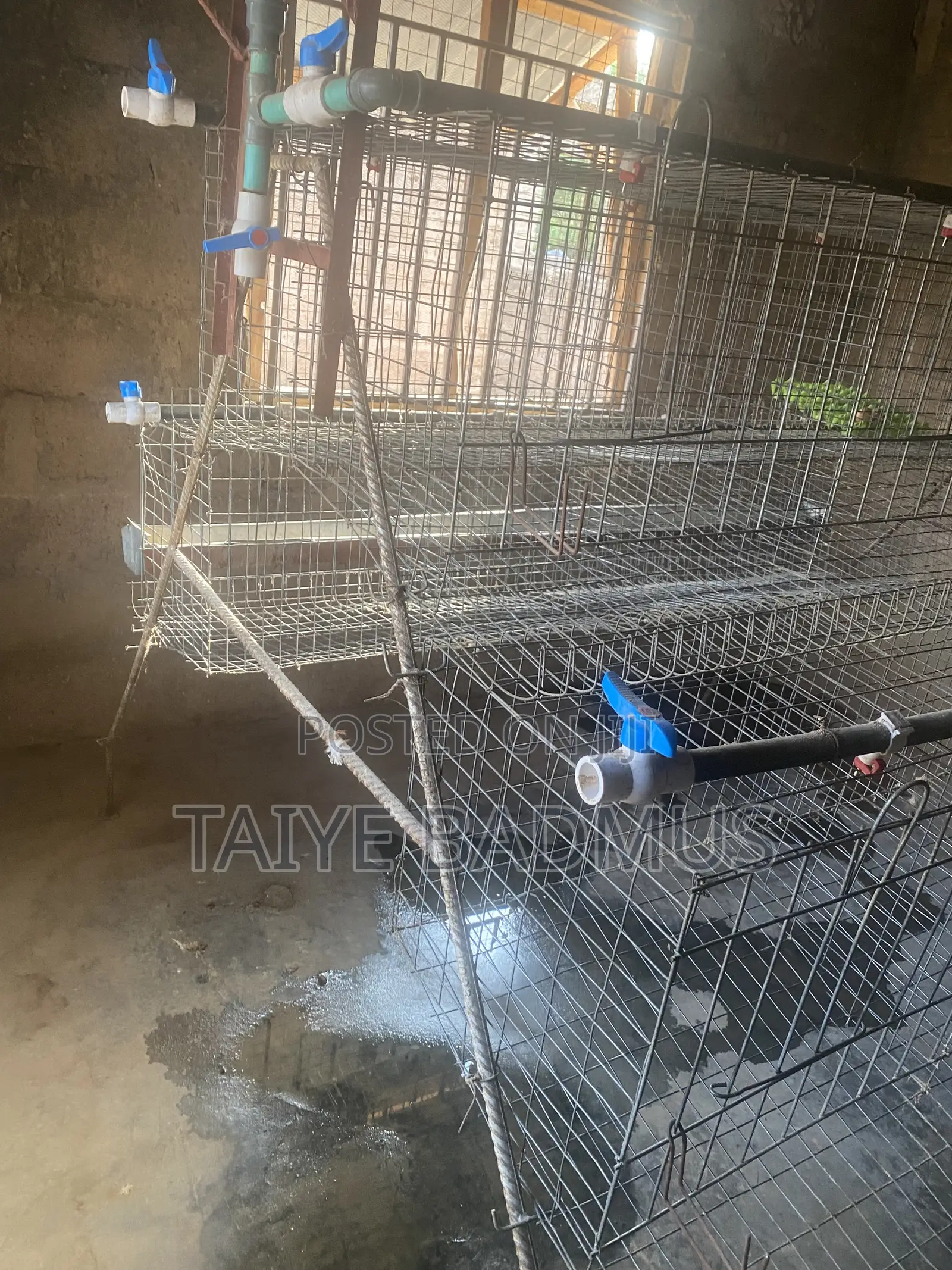 Cage System