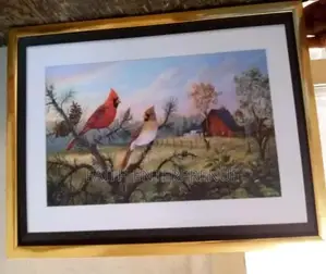 24 By 36 Tiny Frame