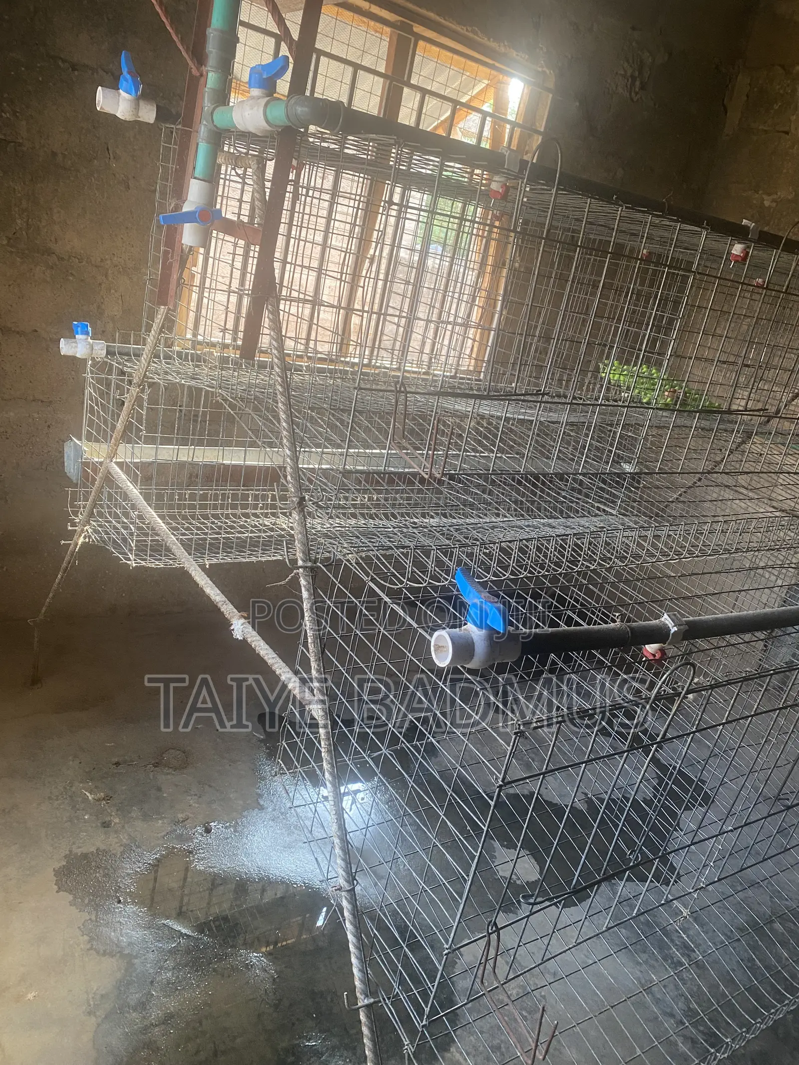 Cage System