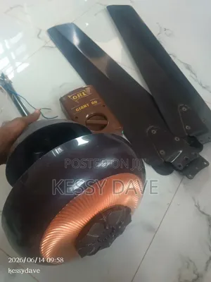 Neatly Used Ceiling Fan