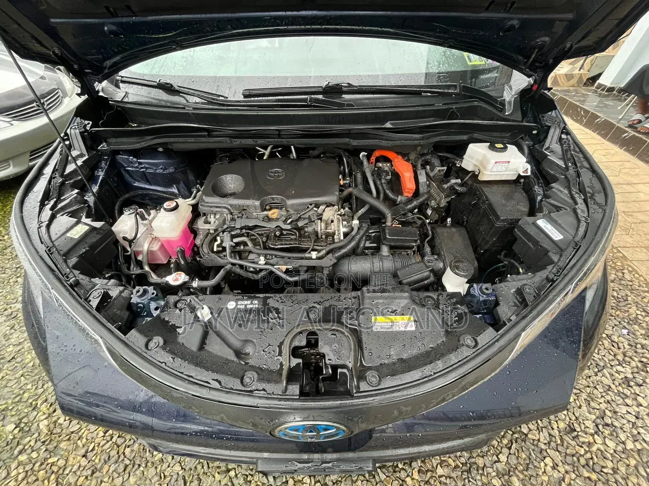 Toyota Sienna 2022