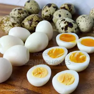 Farm Fresh Quail Eggs