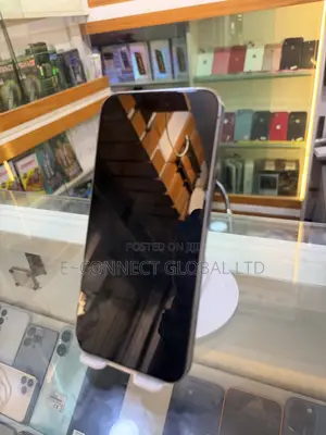 Apple iPhone 15 Pro Max 256 GB Gray