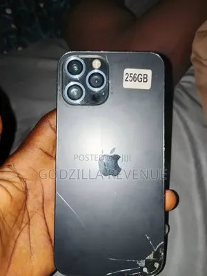Apple iPhone 12 Pro Max 256 GB Gray