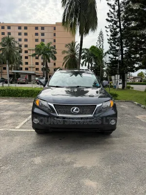 Lexus RX 2010 Gray