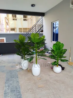 Parlor Flower Available for Outdoor and Indoor Decor