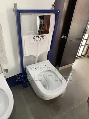 Grohe Executive Conceal Wc With High (Germany)