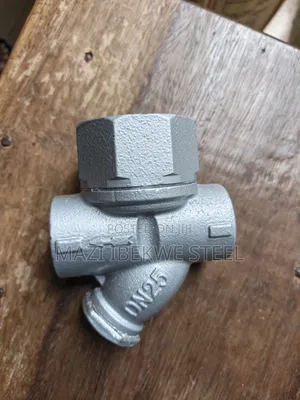 1" Steam Trap for Steam Line