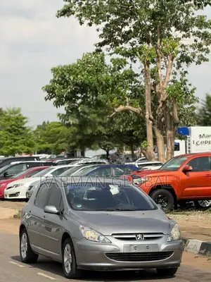 Peugeot 307 2009 Gray