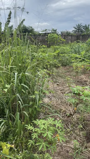 Land for Sale; 100 by 100ft