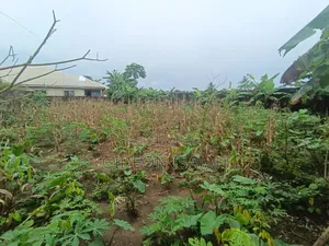 For Sale (Price-8.5m) Beautiful Land Available for Sale