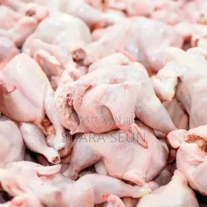 6 Weeks Live Dressed Chicken