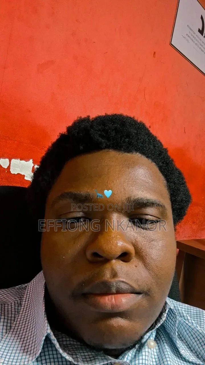 Data Entry | Data Analyst | It Support | Programmer