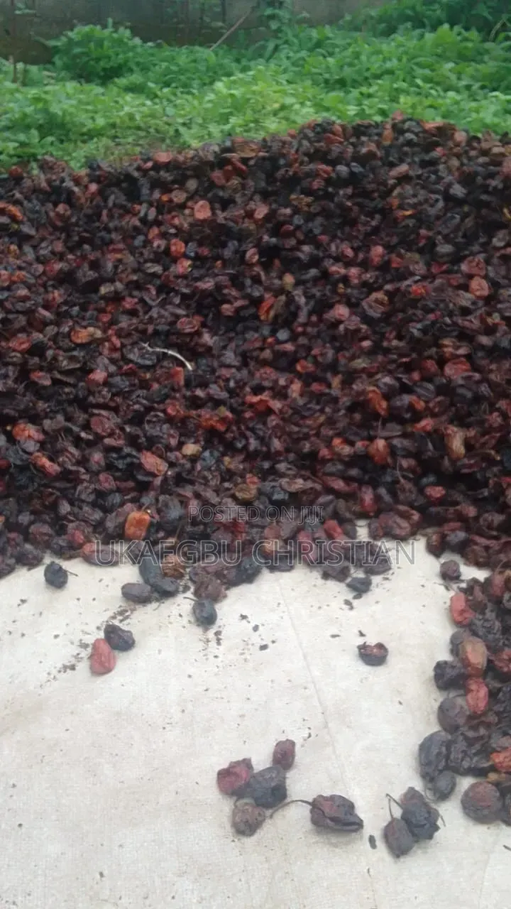 Camerronian Pepper Nigerian Pepper