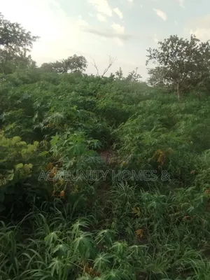 10 Acres of Farmland Available at Ogungbe Village, Iseyin Oyo State