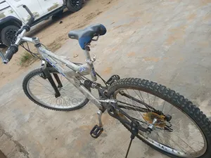 Bicycle With Gear