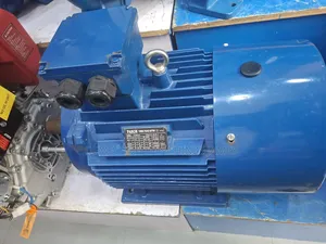 Electric Motor 22kw