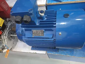 Electric Motor 22kw