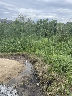 A Plot of Land