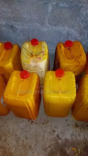 25 Litres Palmoil