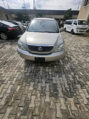 Lexus RX 350 AWD 2009 Gray