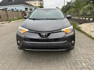 Toyota RAV4 XLE AWD (2.5L 4cyl 6A) 2017 Gray