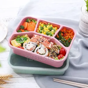Plate With Divider With Cover