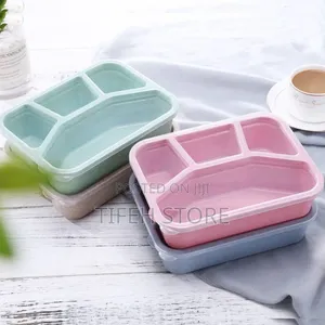 Plate With Divider With Cover
