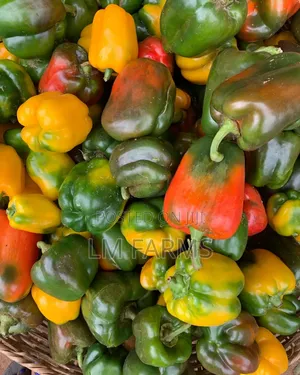 Fresh Bell Peppers