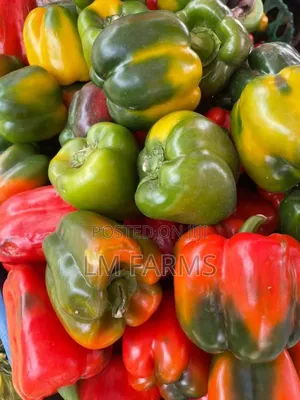 Fresh Bell Peppers
