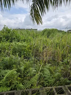 Owner Ned Money to Pay Fees Abroad( Price Plot #12m ) Badore Aja Lekki