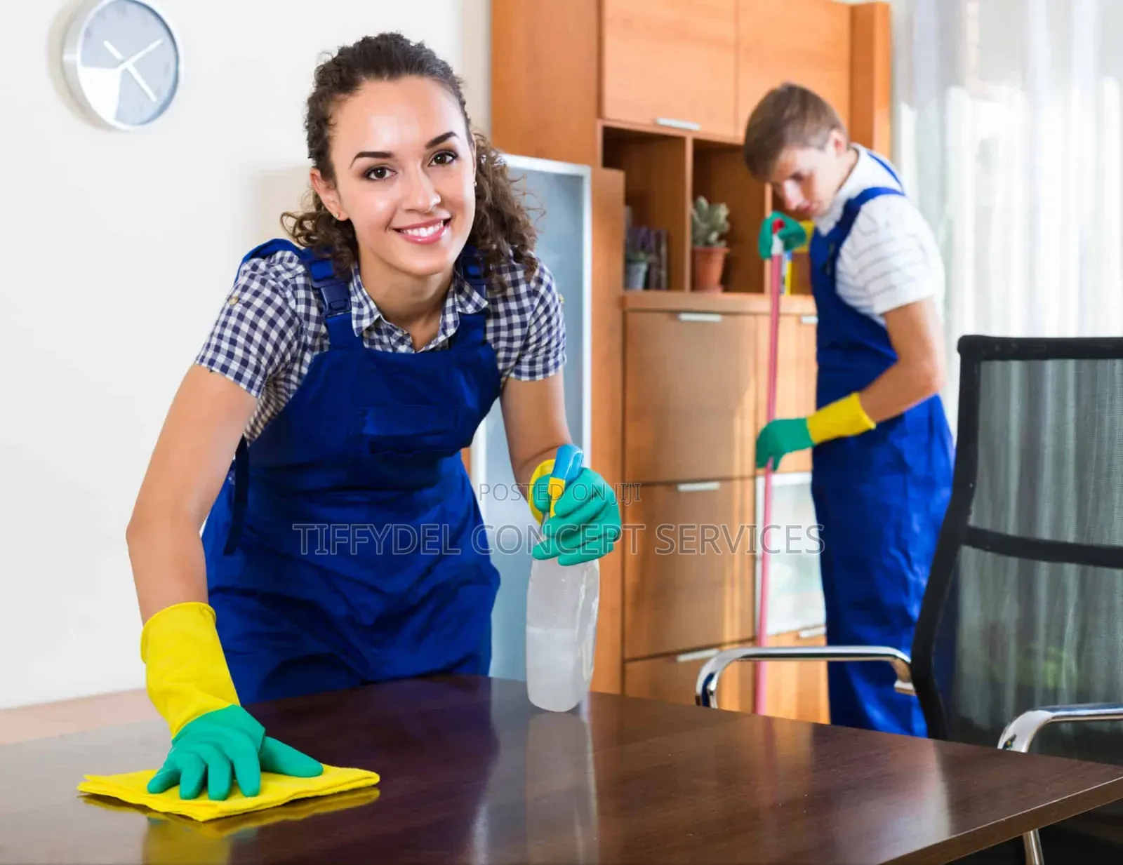 Cleaning Services