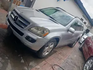 Mercedes-Benz GL-Class GL 450 2009 Silver
