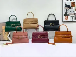 Top Notch Luxury Women's Handbags Coach Well Banded Package