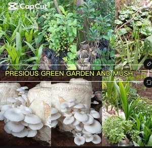 Agricultural Plants(Horticulture)