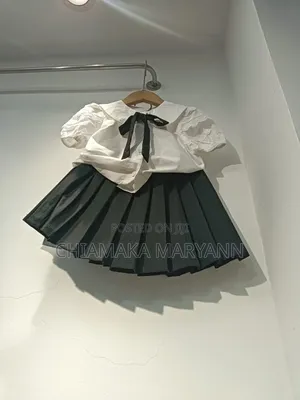 Skirt and Blouse