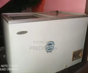 Haier Thermocool Display Chest Freezer