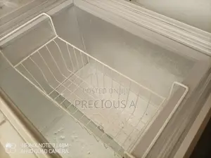 Haier Thermocool Display Chest Freezer