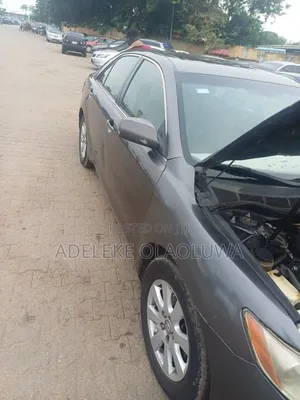 Toyota Camry 2.4 XLE 2008 Gray