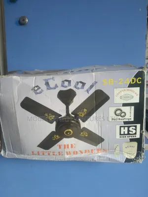 Ac Dc Ceiling Fan
