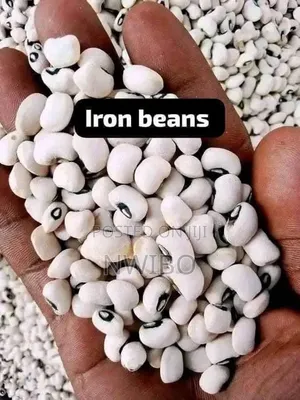 Clean Sound Beans 30 Painters -100kg-100,000