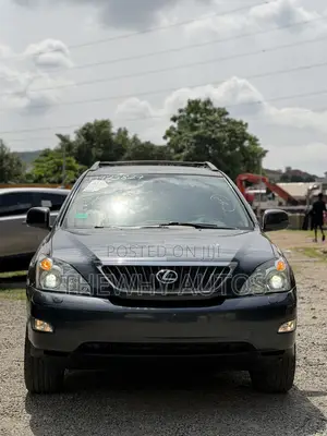 Lexus RX 350 2007 Gray