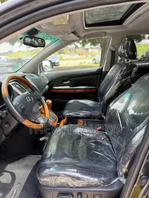 Lexus RX 350 2007 Gray