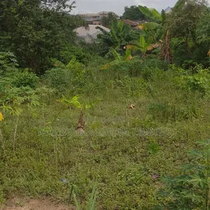 More Than Half Plot of Land at New London
