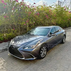 Lexus ES 350 Luxury 2020 Gray