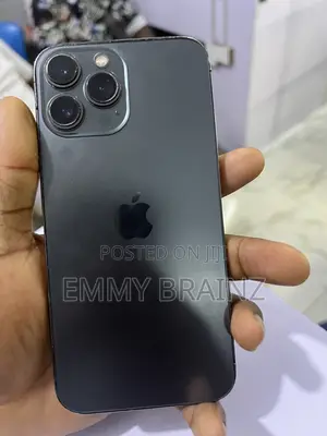 Apple iPhone 13 Pro Max 128 GB Gray